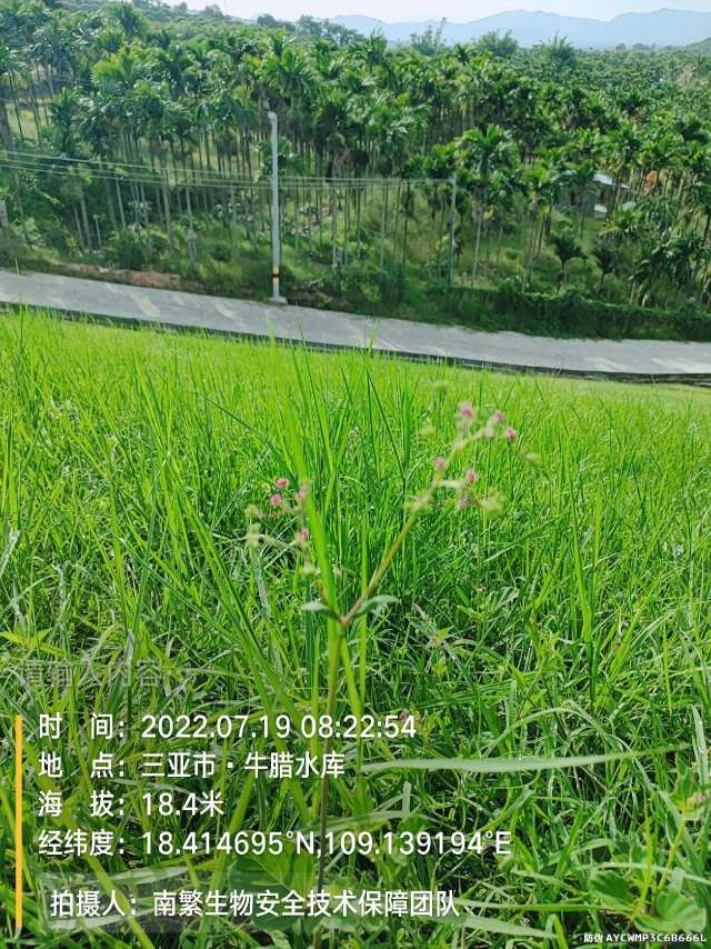 请输入内容…