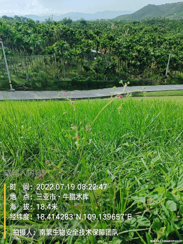 请输入内容…