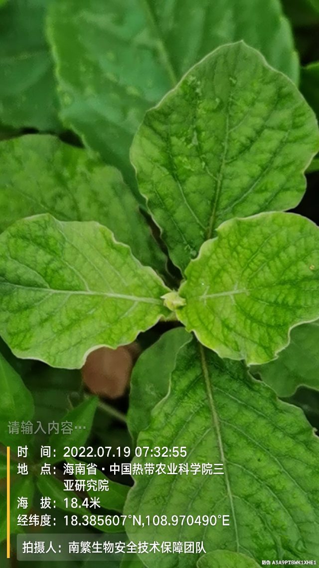 请输入内容…