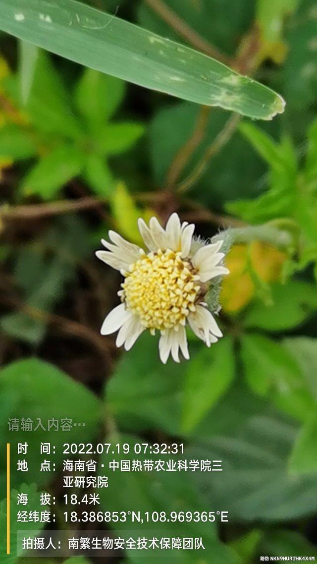 请输入内容…
