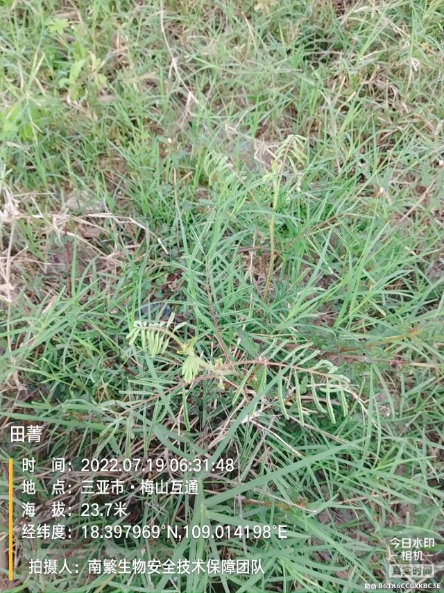 田菁