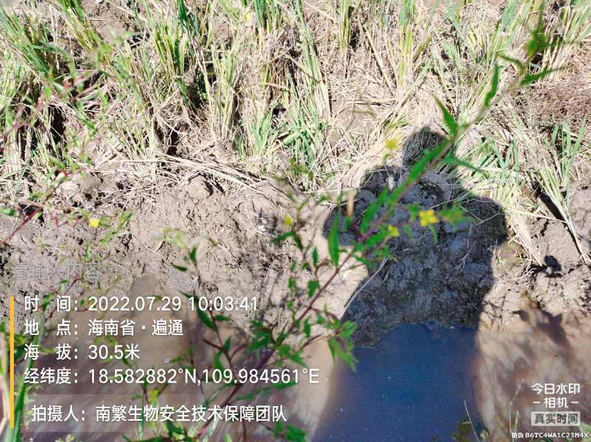 请输入内容…