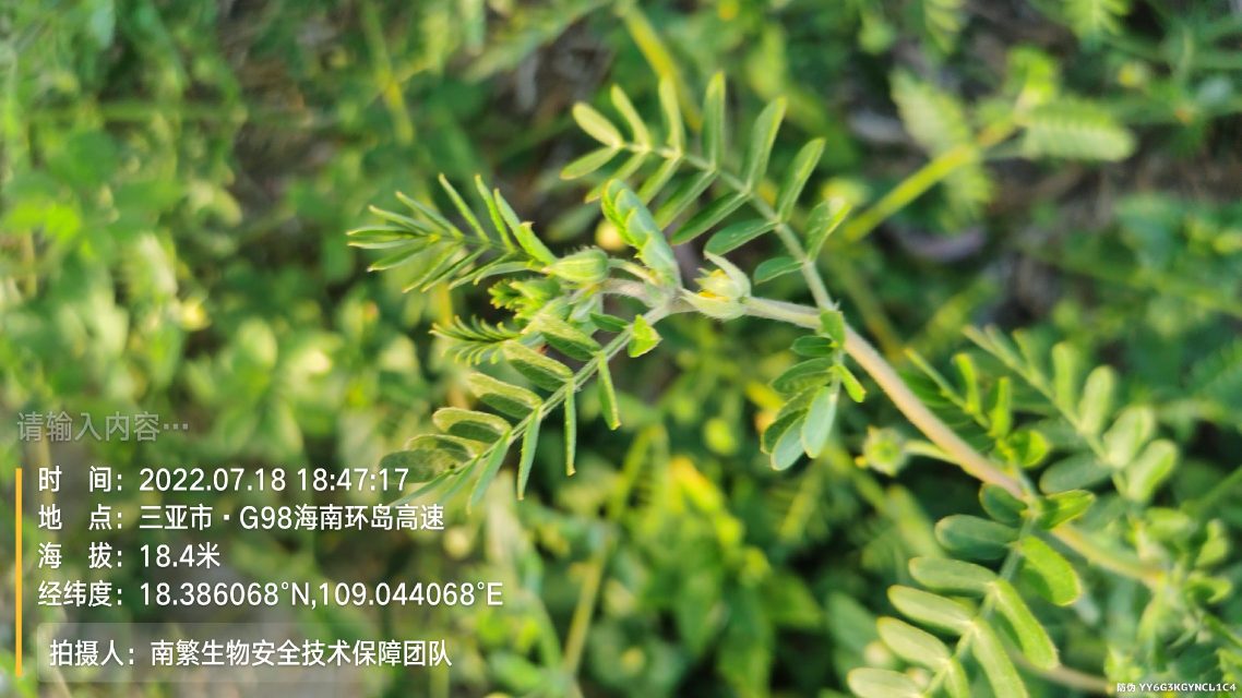 请输入内容…