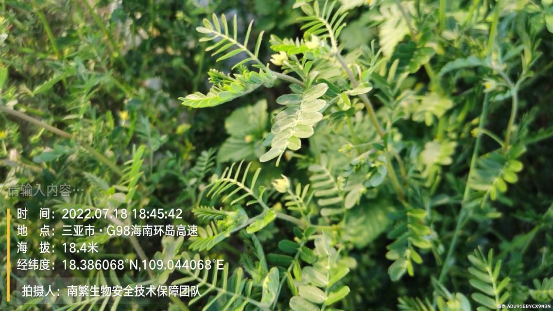 请输入内容…