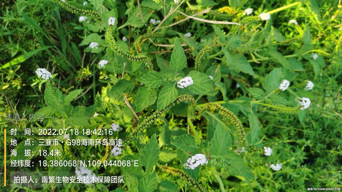 请输入内容…