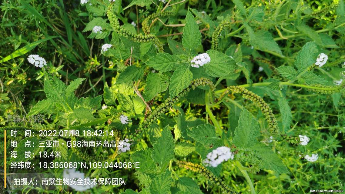 请输入内容…