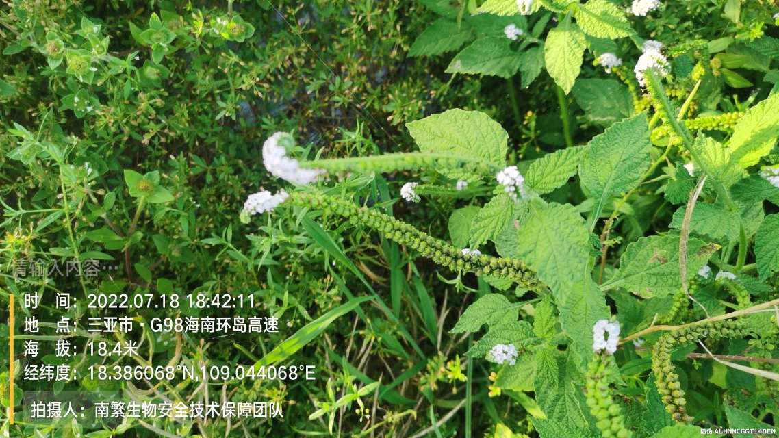 请输入内容…