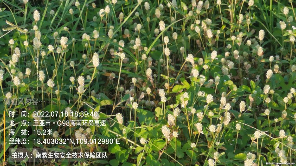 请输入内容…