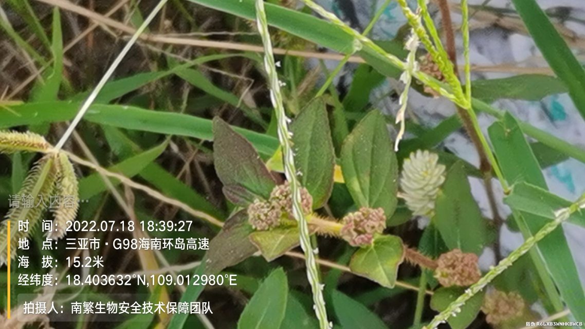 请输入内容…