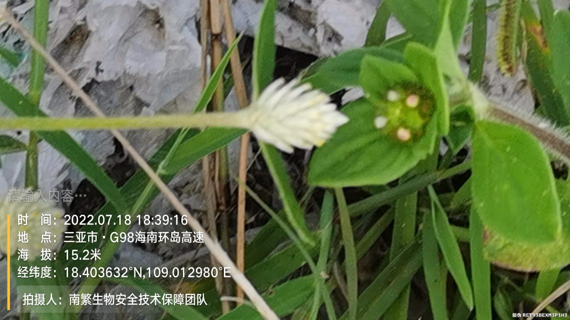 请输入内容…