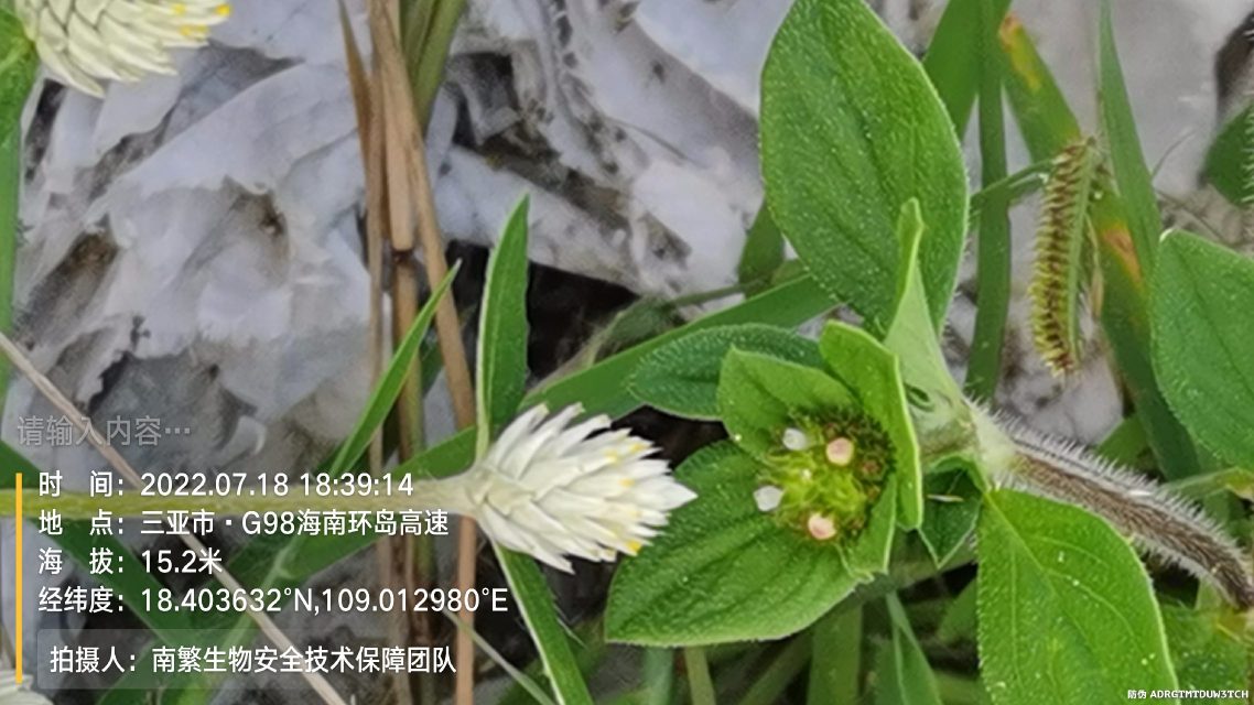 请输入内容…