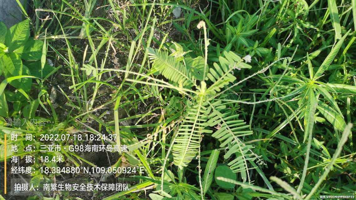 请输入内容…