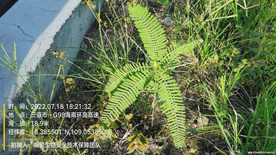 请输入内容…