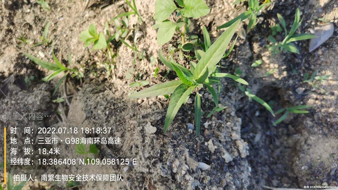 请输入内容…
