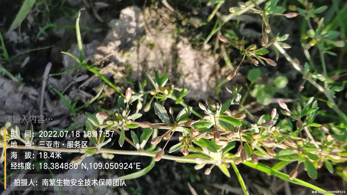 请输入内容…