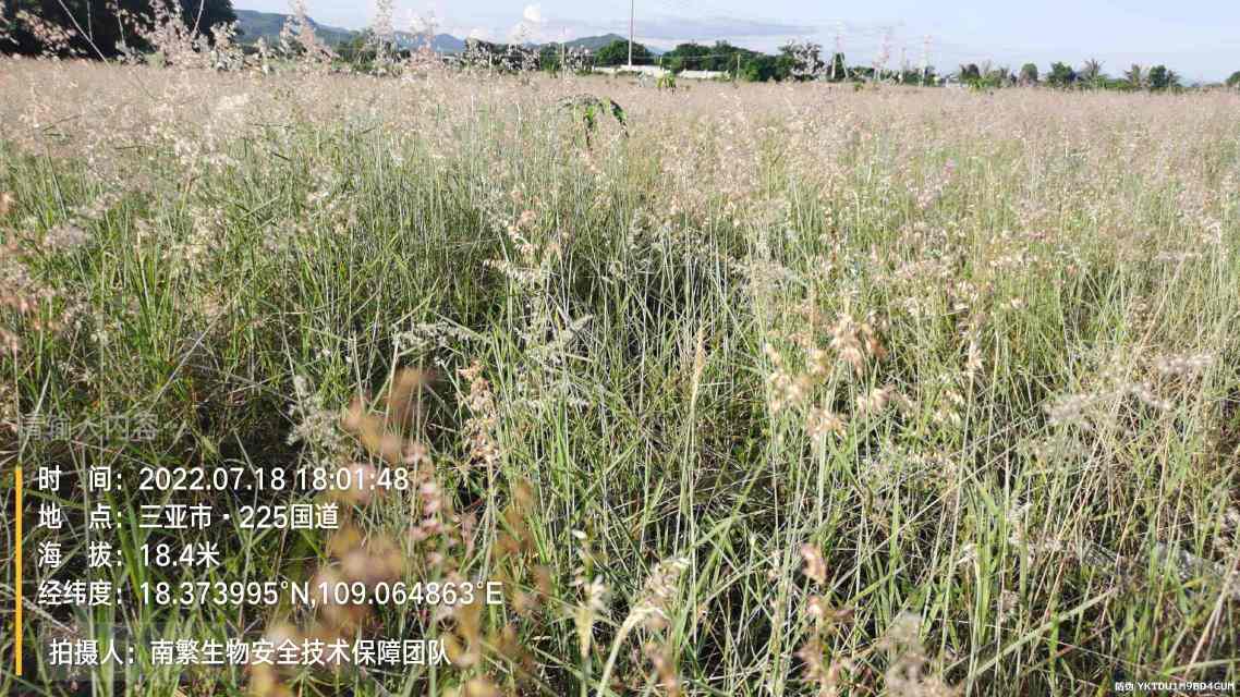 请输入内容…