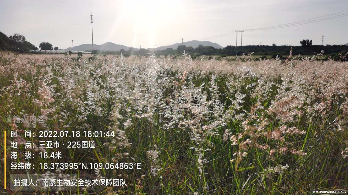 请输入内容…