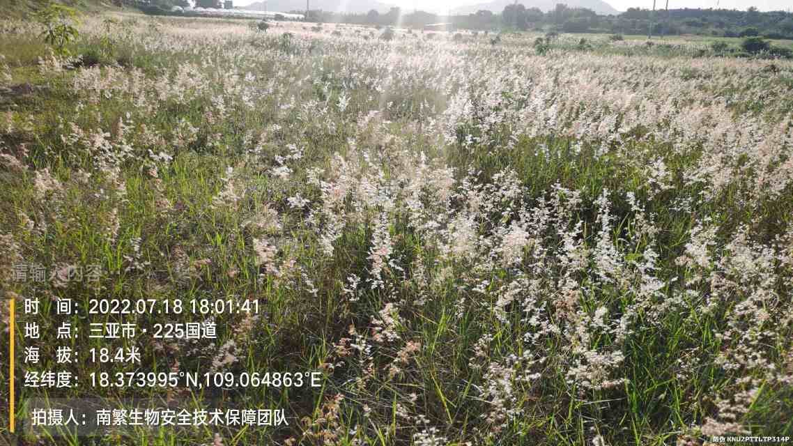 请输入内容…