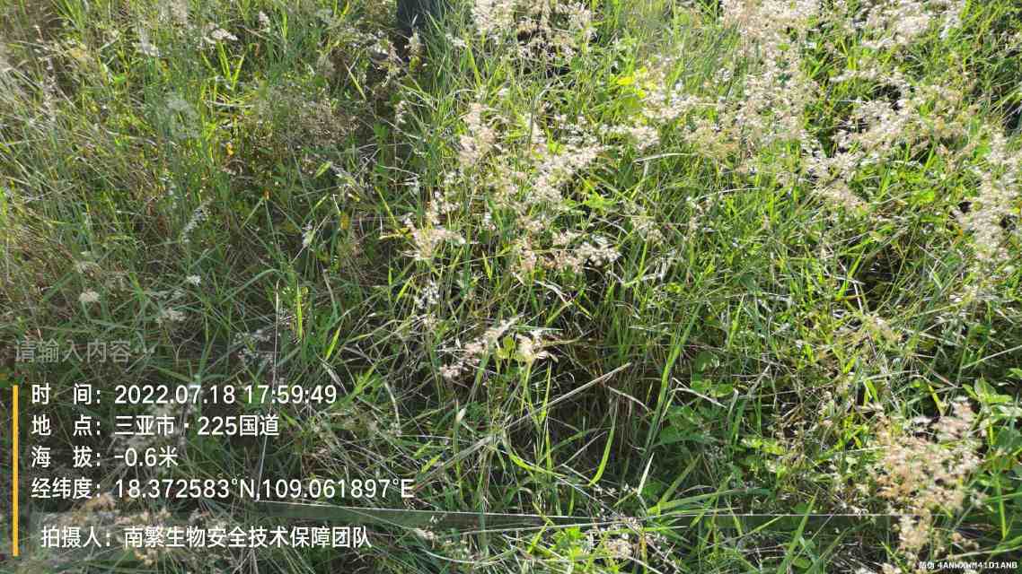 请输入内容…