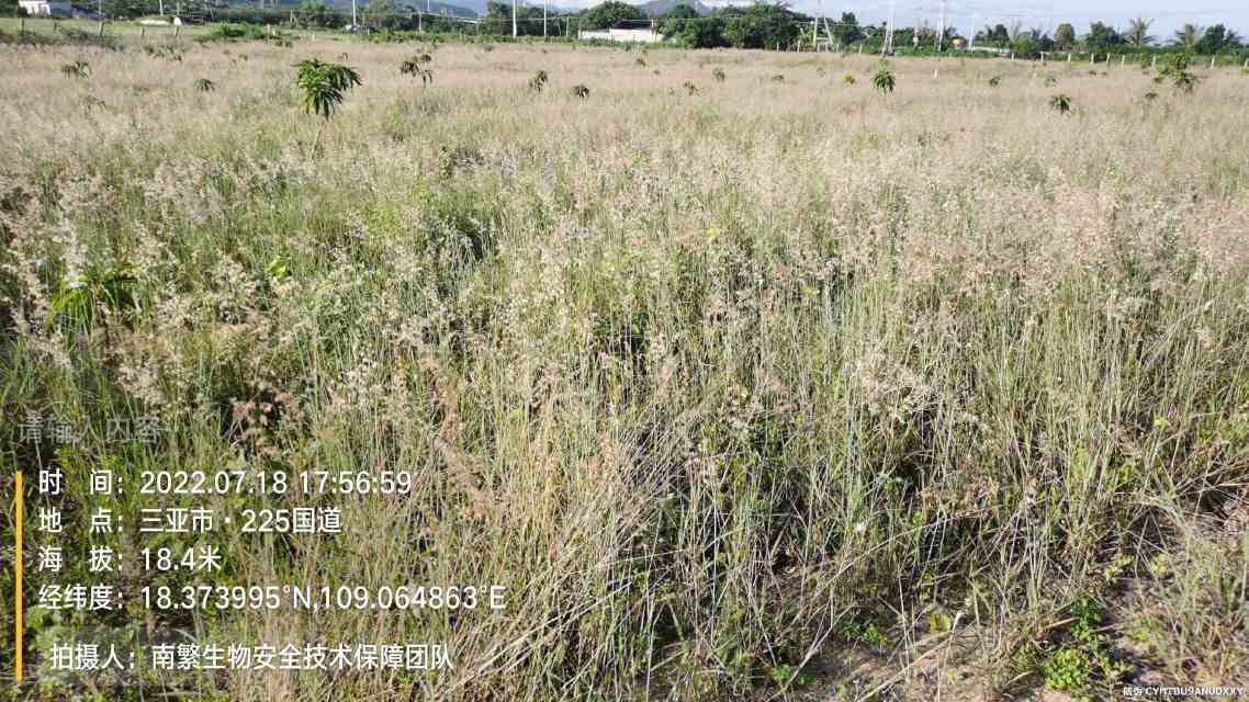 请输入内容…