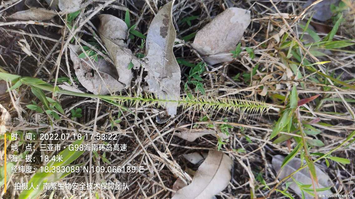 请输入内容…