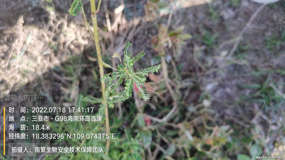 请输入内容…