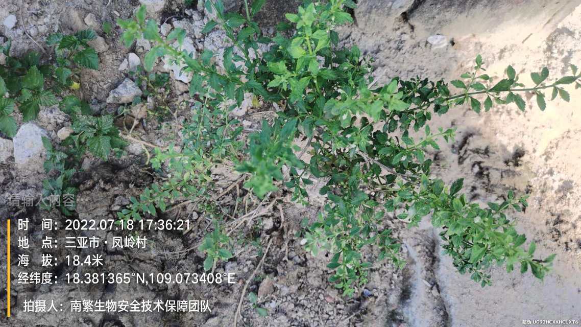 请输入内容…