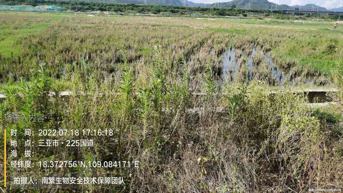 请输入内容…
