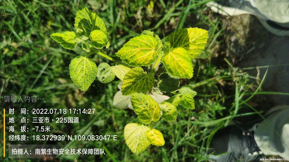 请输入内容…