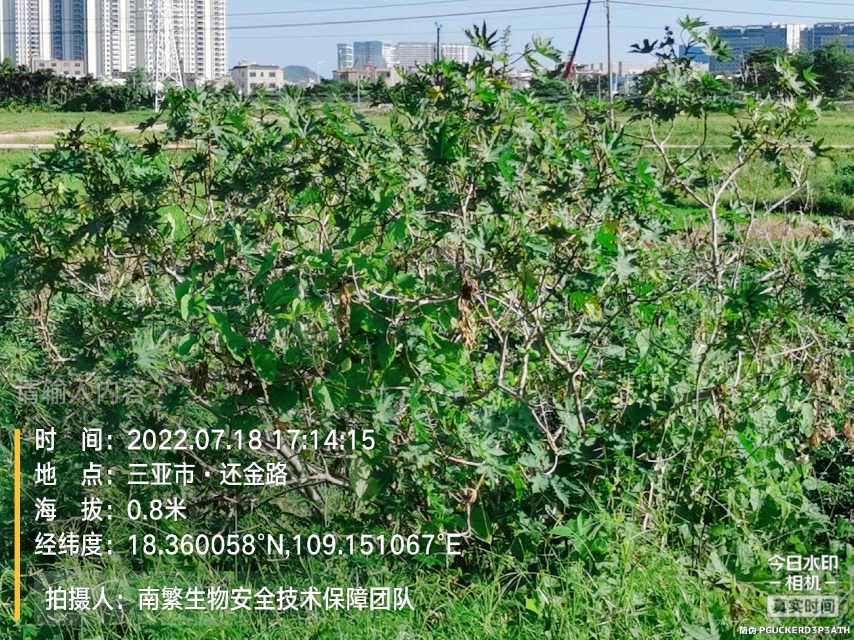 请输入内容…