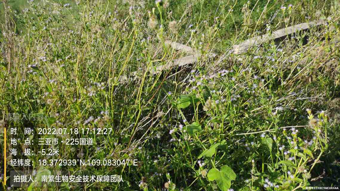 请输入内容…