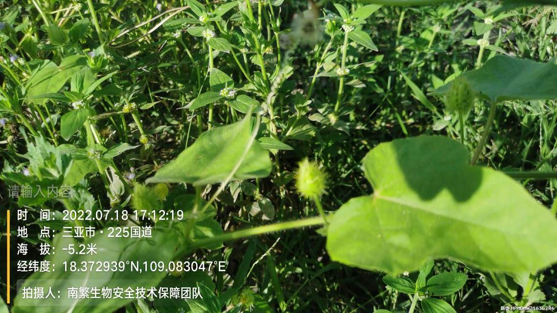 请输入内容…
