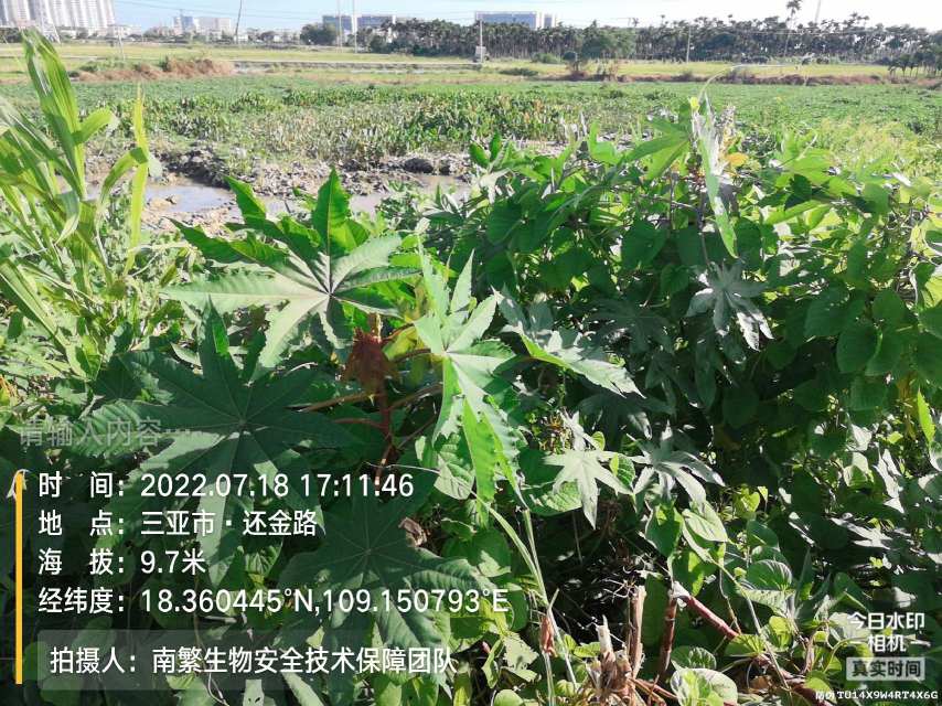 请输入内容…