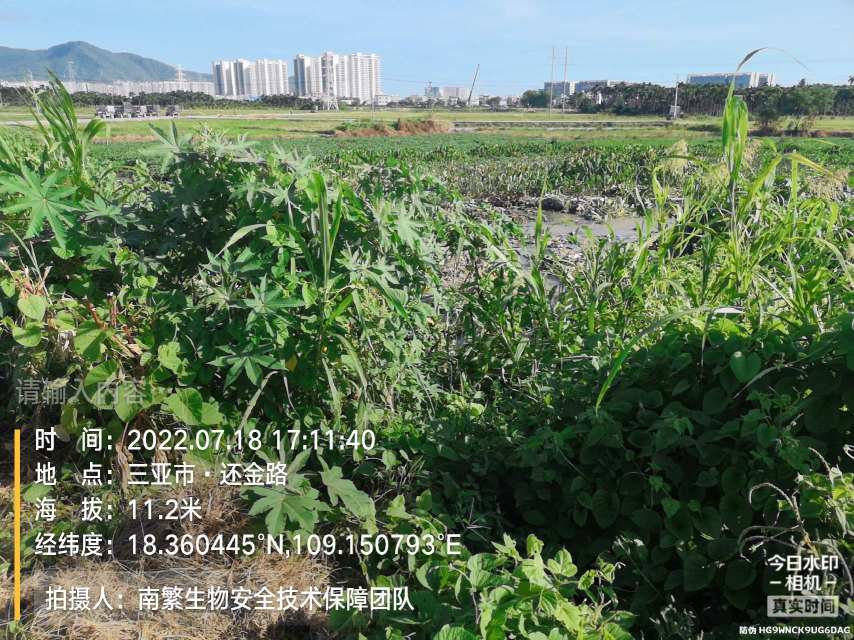 请输入内容…