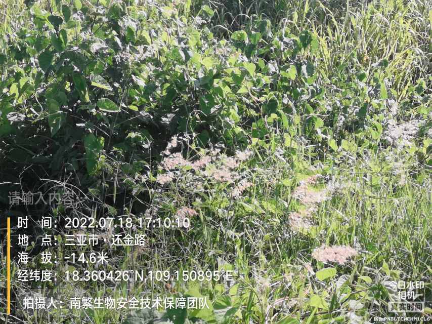 请输入内容…