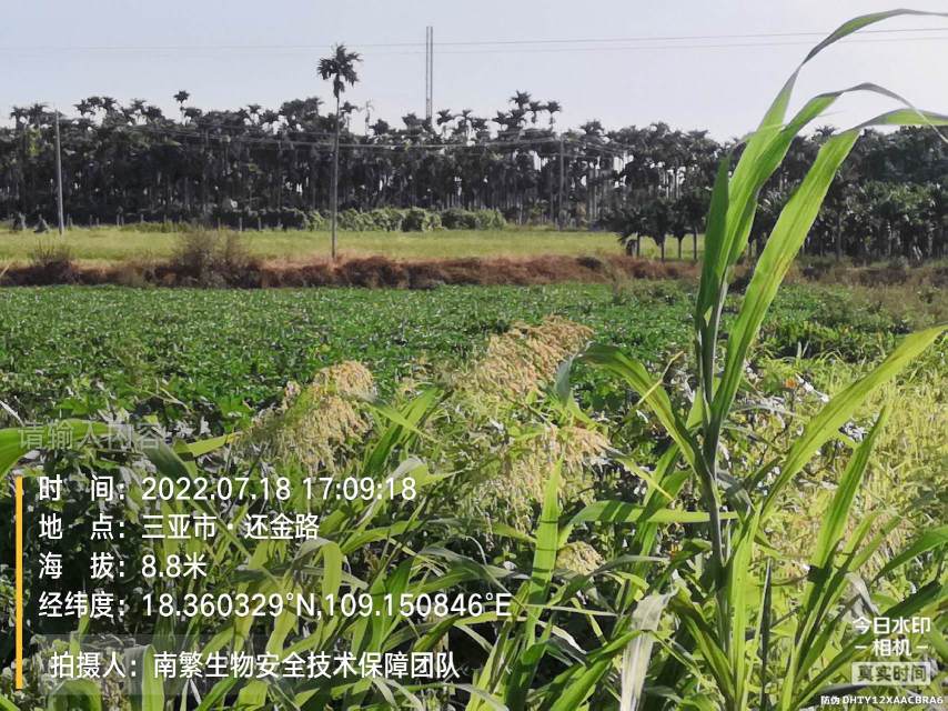 请输入内容…