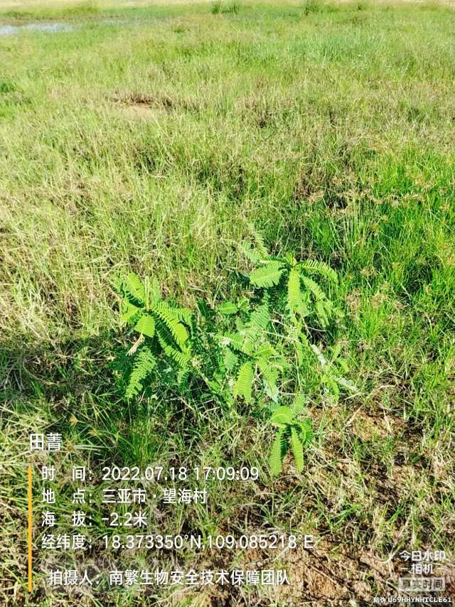 田菁