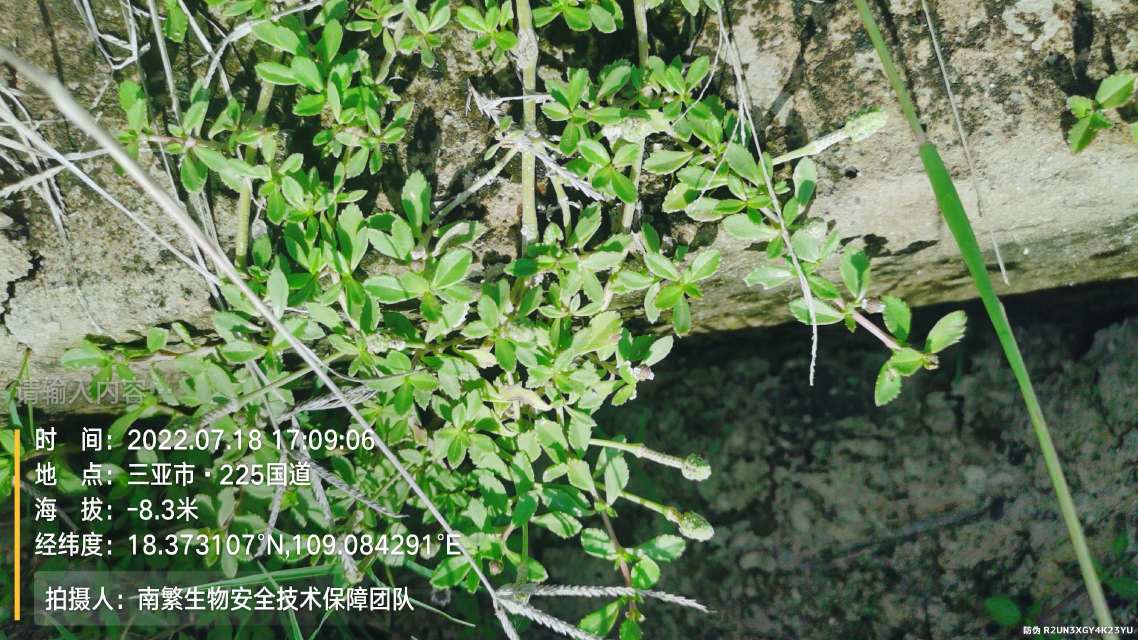 请输入内容…