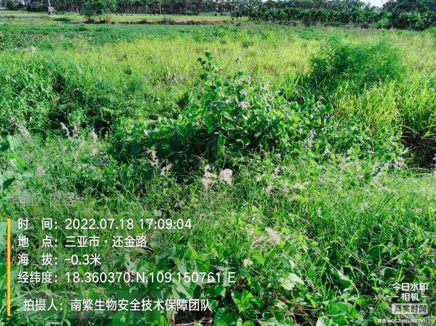 请输入内容…