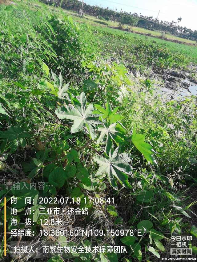 请输入内容…