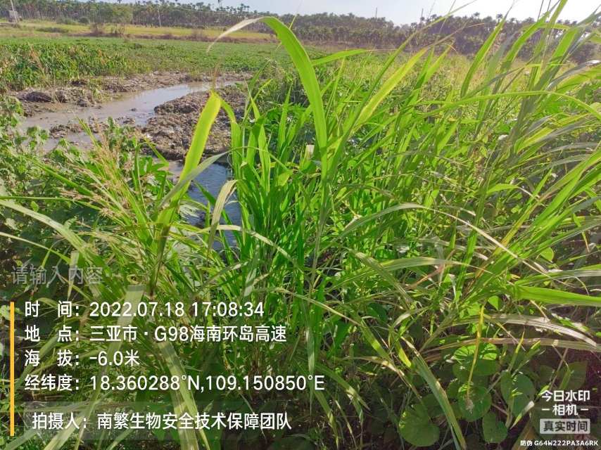 请输入内容…