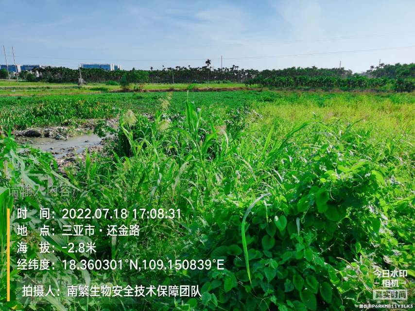 请输入内容…