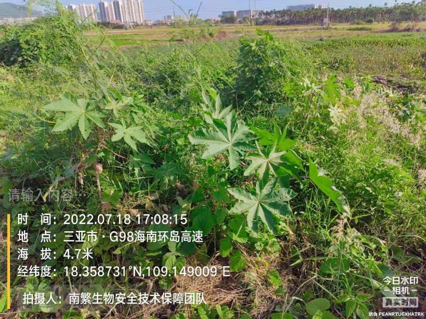 请输入内容…