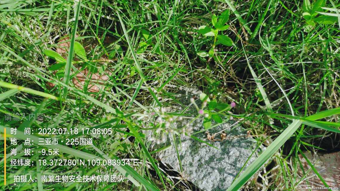 请输入内容…