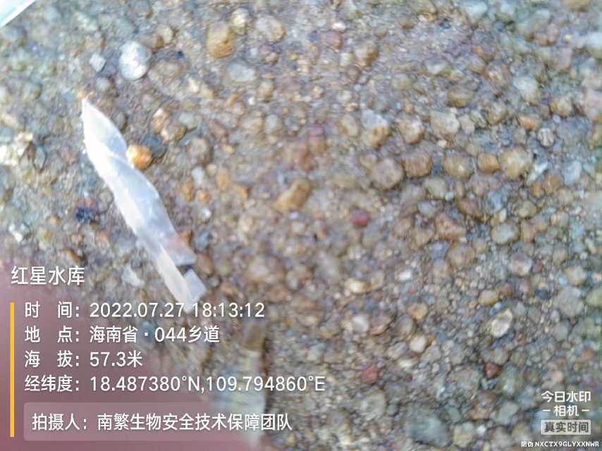 红星水库