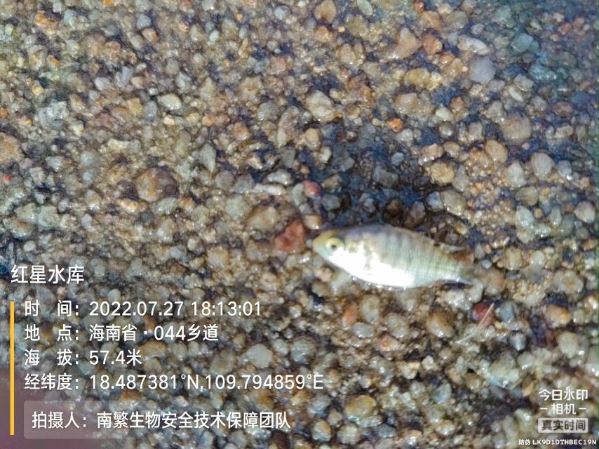 红星水库