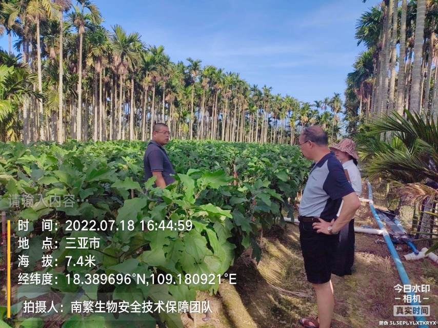 请输入内容…
