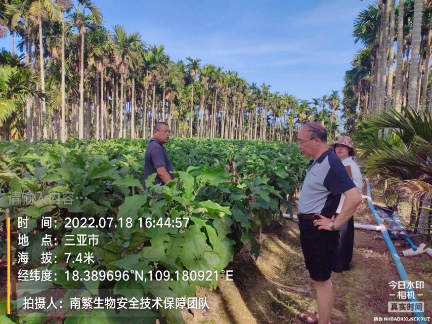 请输入内容…