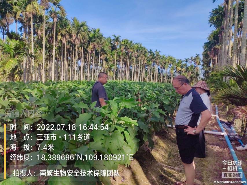 请输入内容…