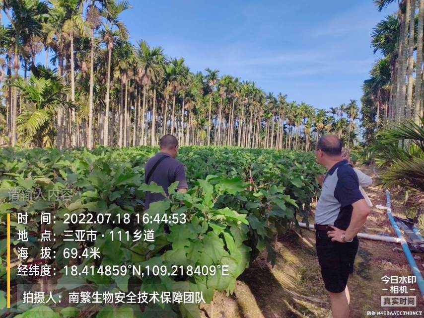 请输入内容…